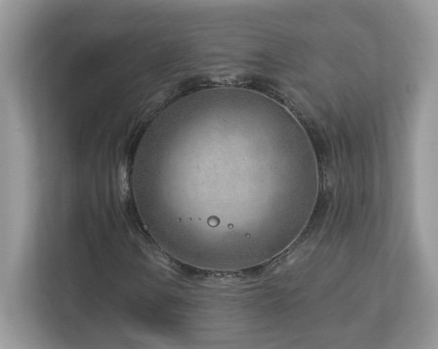 X0000112941106200908241315
