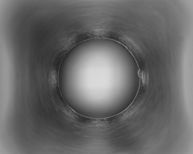 X0000112941107200908241315