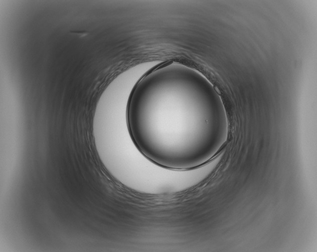 X0000112941108200908241315