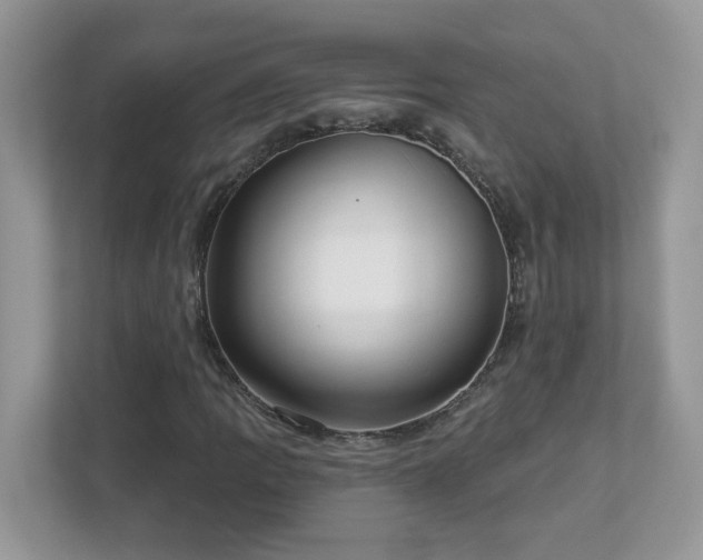 X0000112941109200908241315