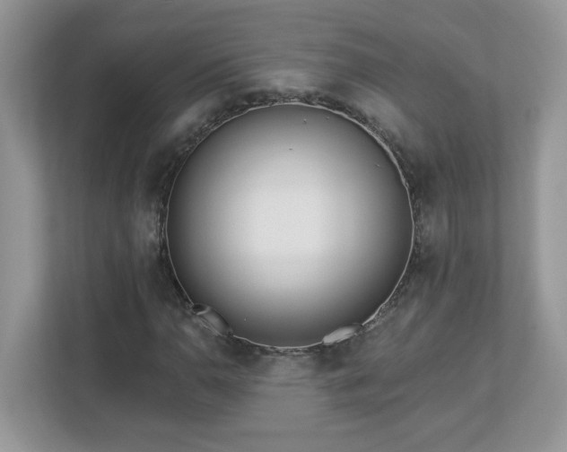 X0000112941110200908241315