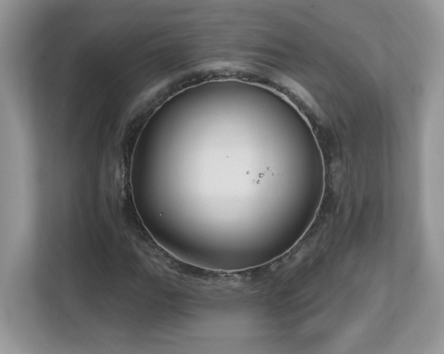 X0000112941111200908241315