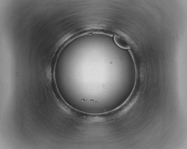 X0000112941113200908241315