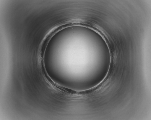X0000112941115200908241315