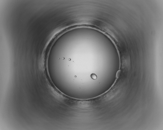 X0000112941116200908241315