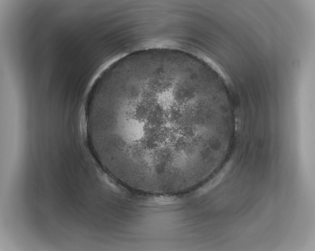 X0000112941117200908241315
