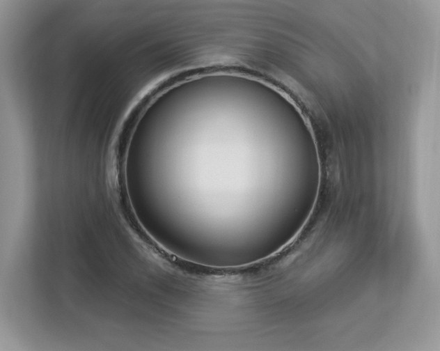 X0000112941118200908241315