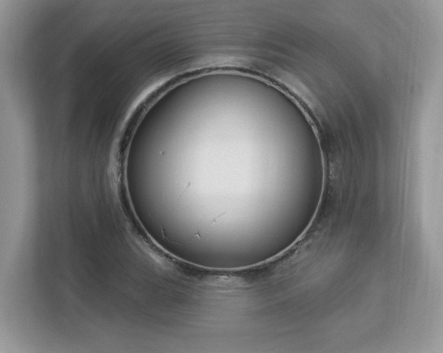X0000112941119200908241315