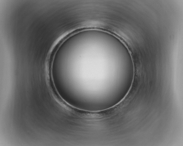 X0000112941120200908241315