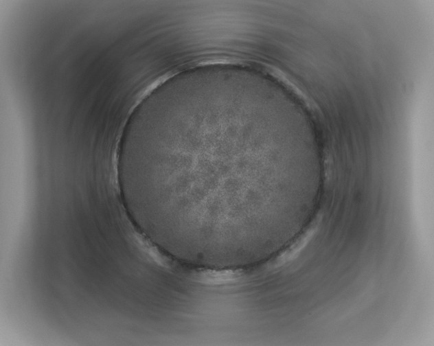 X0000112941121200908241315