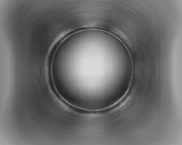 X0000112941122200908241315