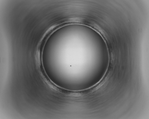 X0000112941123200908241315