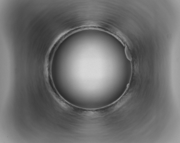 X0000112941124200908241315