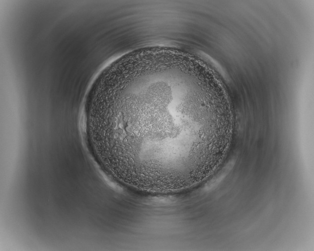 X0000112941125200908241315