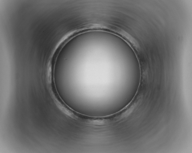 X0000112941126200908241315