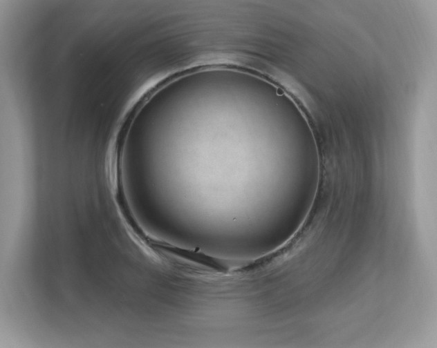 X0000112941127200908241315