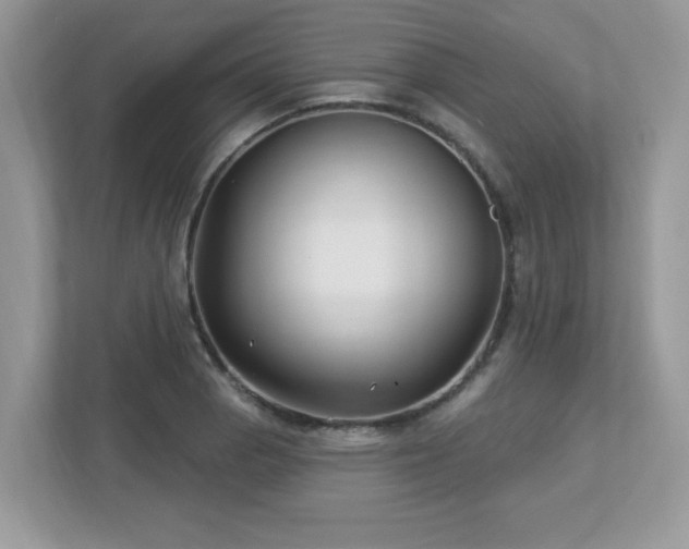 X0000112941129200908241315