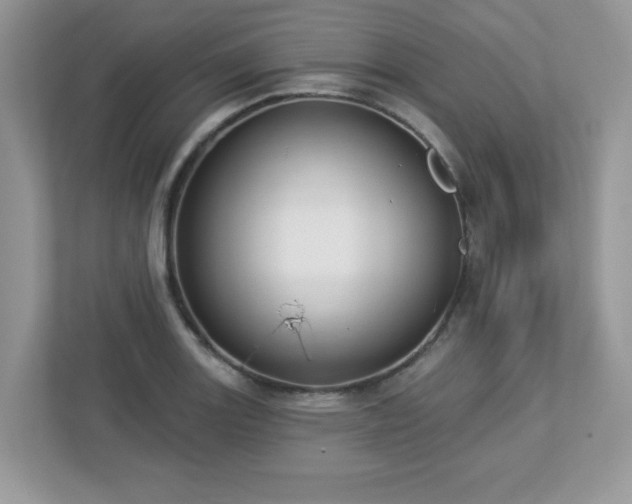 X0000112941131200908241315