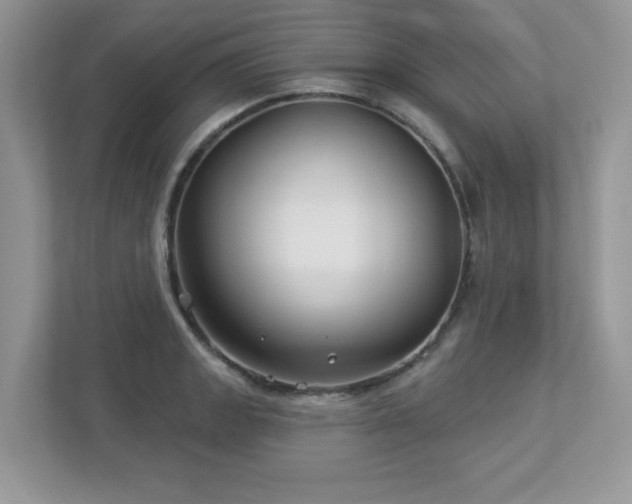 X0000112941133200908241315