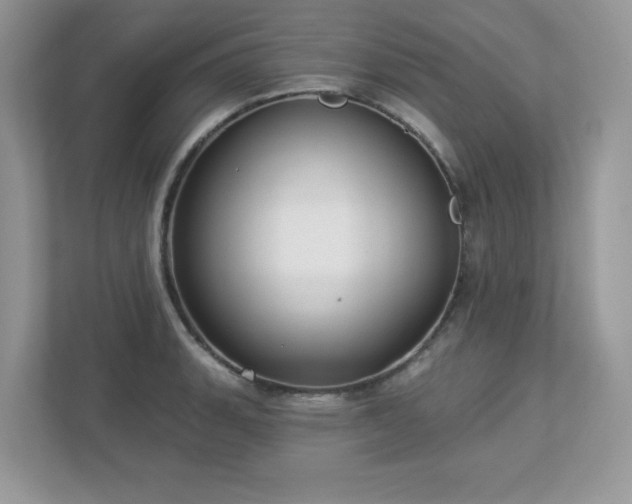 X0000112941135200908241315