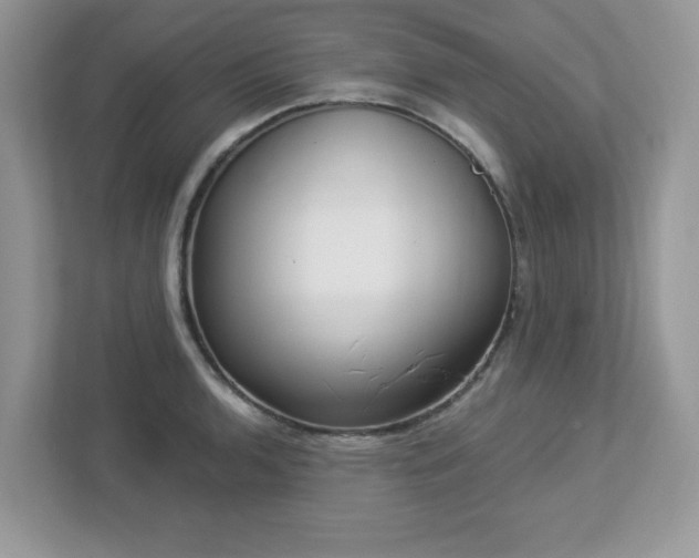 X0000112941136200908241315