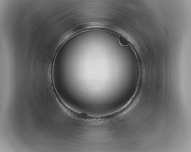 X0000112941137200908241315