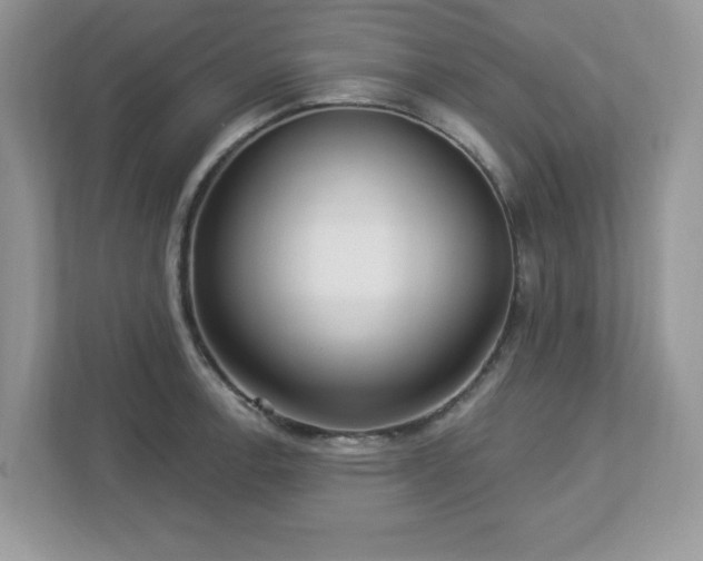 X0000112941138200908241315
