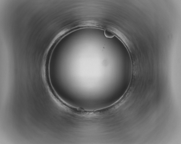 X0000112941139200908241315