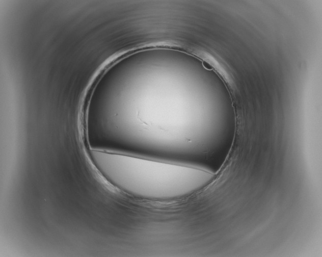 X0000112941140200908241315