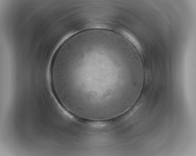 X0000112941141200908241315