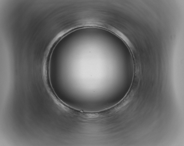 X0000112941144200908241315