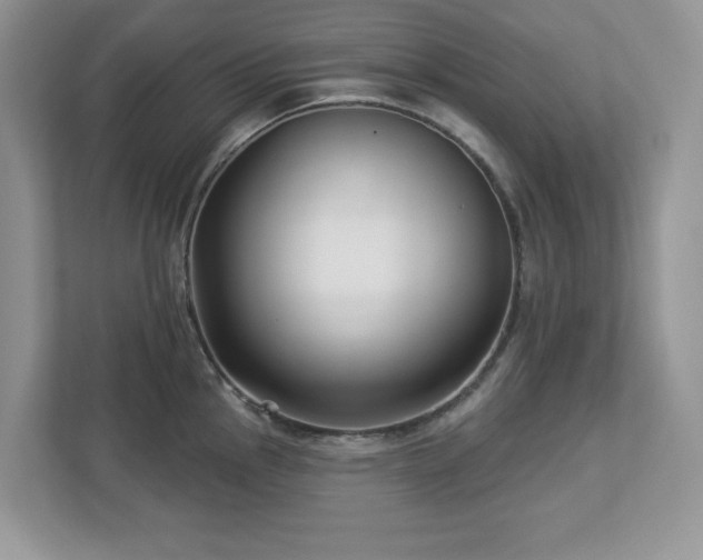 X0000112941145200908241315