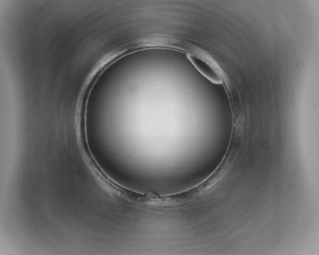 X0000112941146200908241315