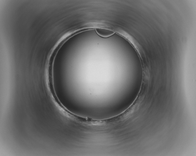 X0000112941147200908241315