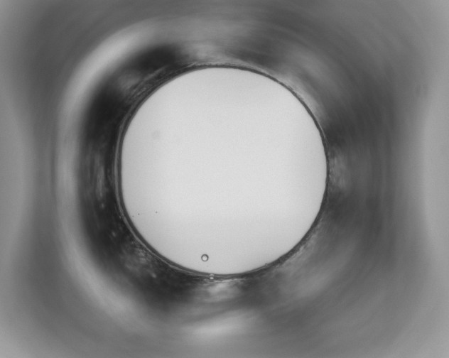 X0000112941150200908241315