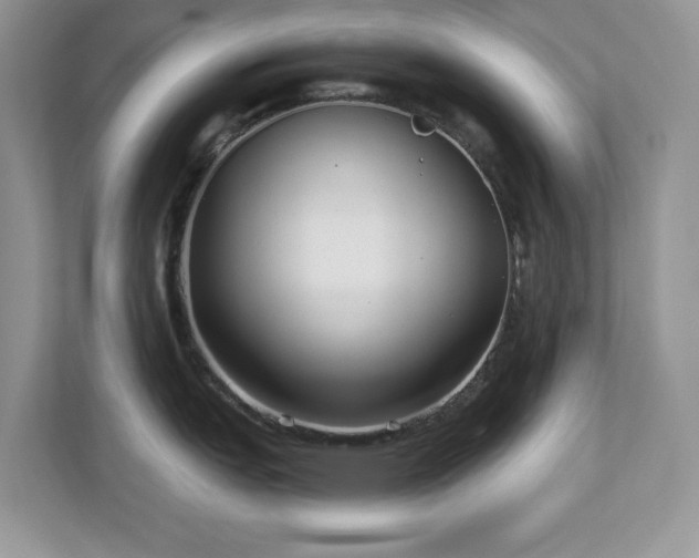 X0000112941151200908241315
