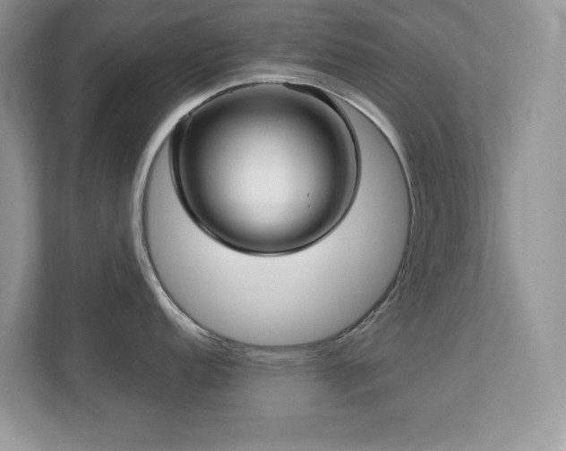 X0000112941152200908241315