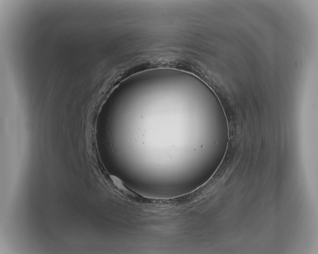 X0000112941153200908241315