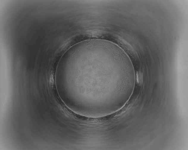 X0000112941155200908241314