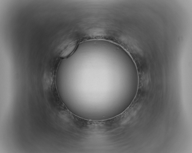 X0000112941157200908241314