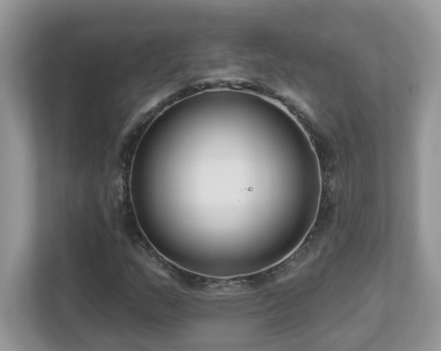 X0000112941159200908241314