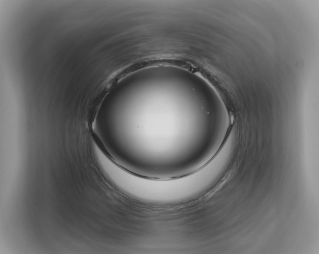 X0000112941161200908241314