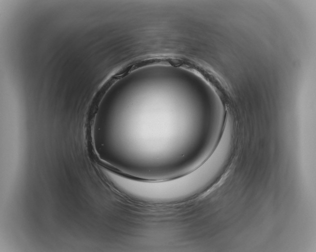 X0000112941162200908241314