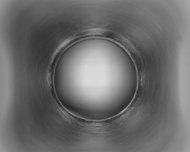 X0000112941164200908241314
