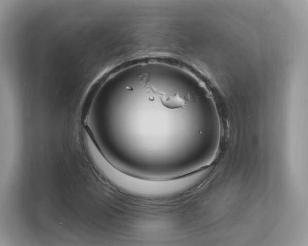 X0000112941165200908241314
