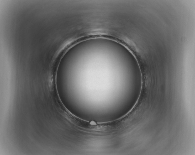 X0000112941167200908241314