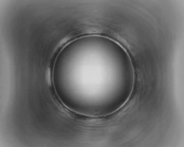X0000112941171200908241314