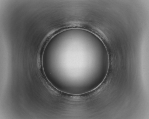X0000112941172200908241314