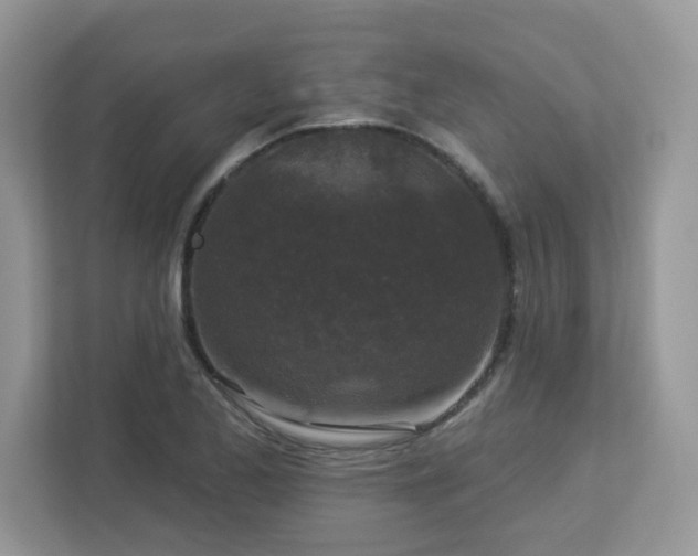 X0000112941173200908241314