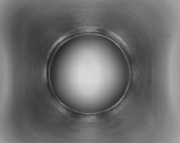 X0000112941174200908241314